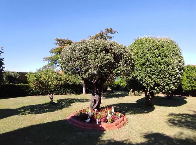 Vendégház Casa Carmela Playa de la Lanzada
